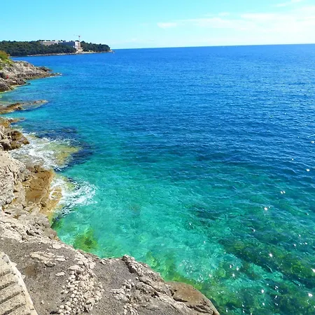 شقة فندقية Ribarska Koliba 4*